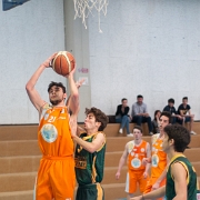 Crocetta 17-4-14-12